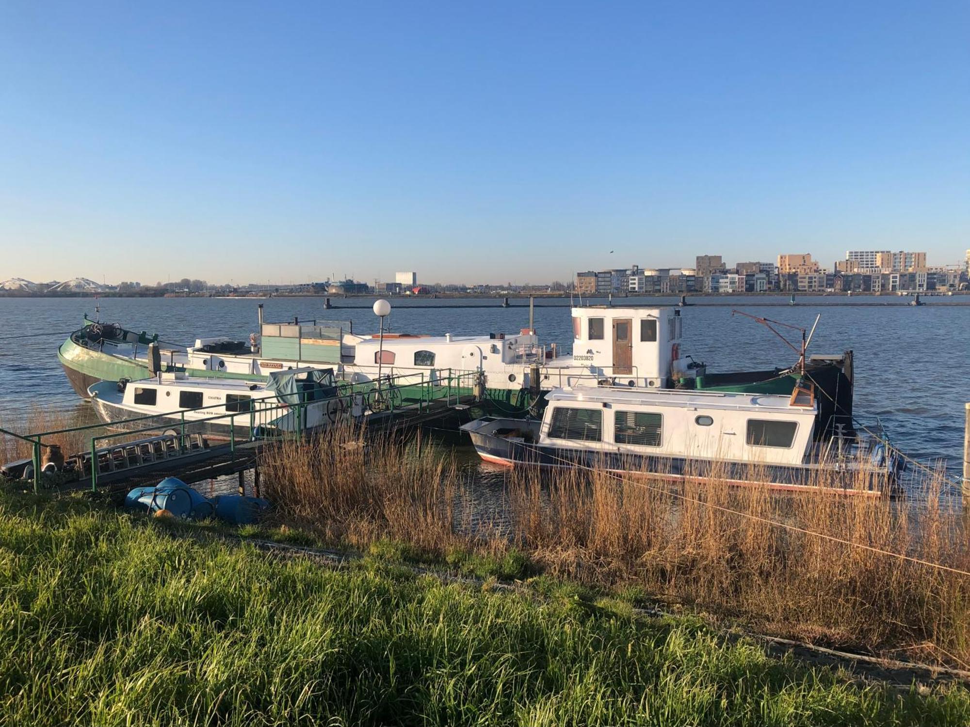 Floating B&B Amsterdam Buitenkant foto