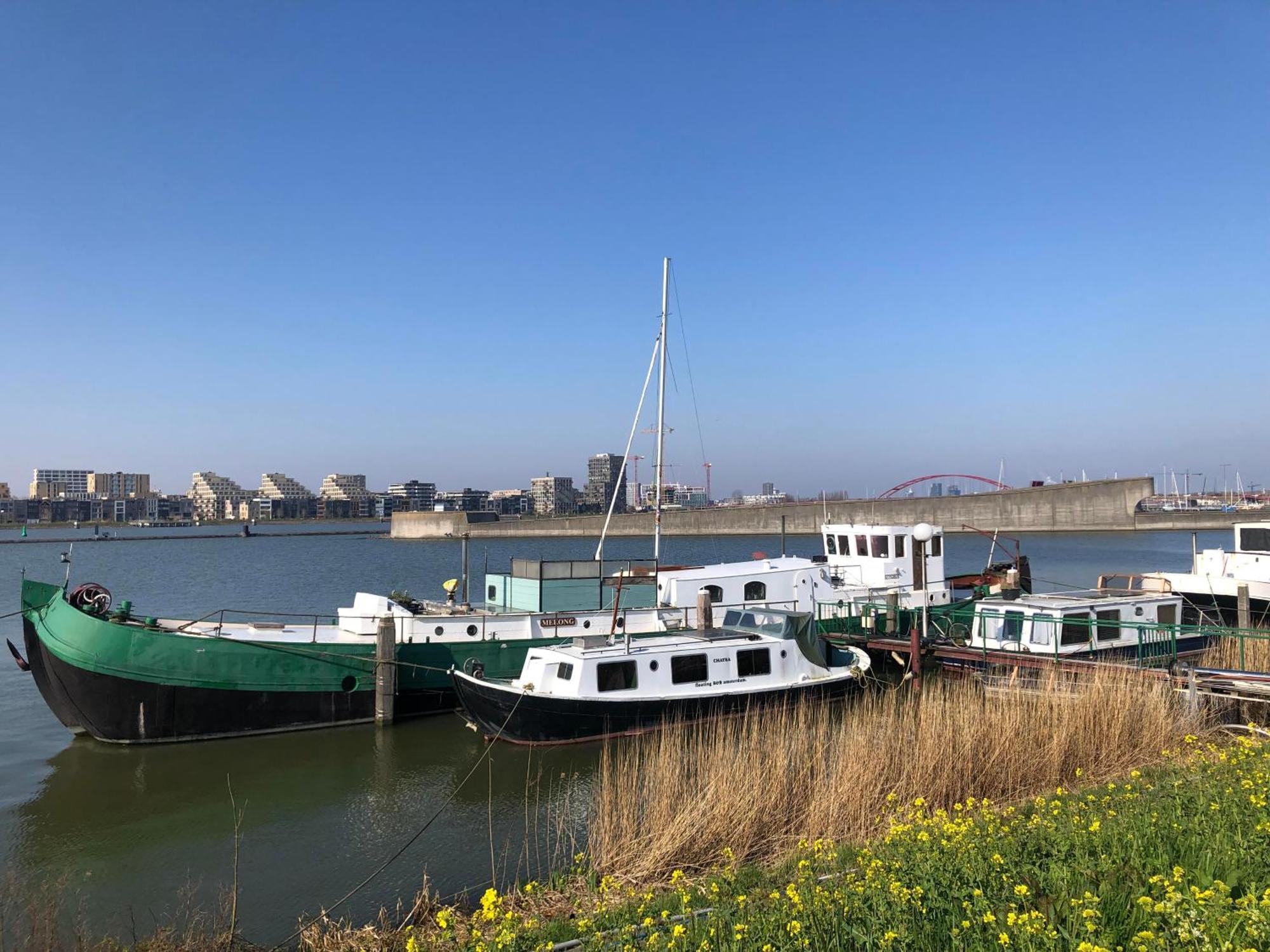 Floating B&B Amsterdam Buitenkant foto